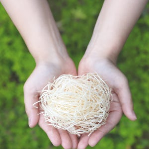 편백나무 목면1Kg 우드울 완충제 쵸핑 스타핑