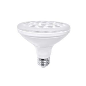 데이온 LED PAR30 집중형 20W 램프