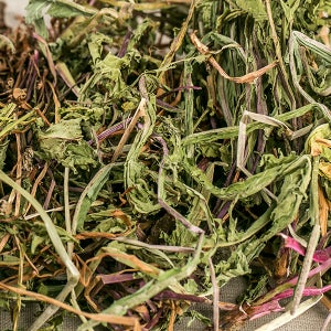 국산 건조 민들레 잎 대용량 포공영 효능 약재 약초 600g