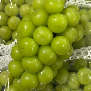 [농장주 직판] 울트라캡샤인 상주 초생재배 샤인머스캣 2kg, 1개