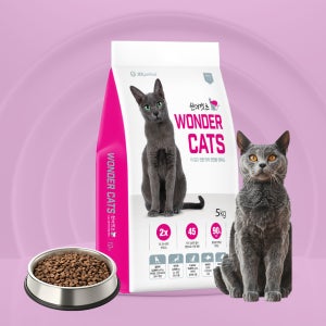 원더캣츠 5kg 전연령 고양이사료 시력보호 신장질환 예방