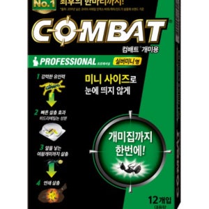 애집 개미 퇴치 유령 흰 공주 곰개미 퇴치