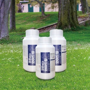 애집 개미 퇴치 유령 흰 공주 곰개미 퇴치