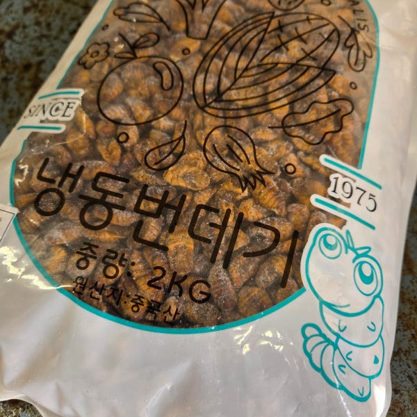 갓 삶아 냉동한 번데기 특품 2kg 대한민국농산