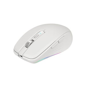 무소음 무선 블루투스 5.1 충전식 듀얼마우스 화이트