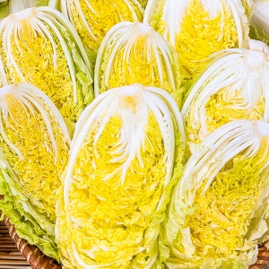 농가살리기 국내산 속꽉찬 알배기배추 겉절이용 3kg