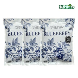 웰루츠 프리미엄 냉동 블루베리 1kg, 3개