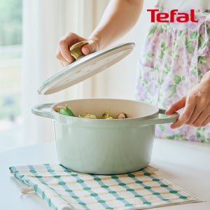 테팔 인덕션 세라믹 에어 주물 페어그린 양수냄비 20cm