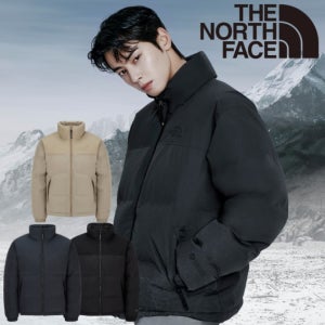노스페이스 고어텍스패딩 구스다운패딩 24FW 남성 고어 눕시 다운 자켓 (RDS 다운) NJ1DQ65 2종 택1