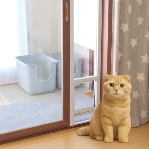 높이조절 베란다 펫도어 고양이 강아지 방묘문 안전문 개문 견문 출입문 캣도어 시공 중형1호