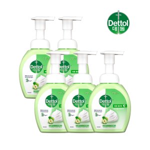 데톨 포밍 항균 핸드워시 애플블로썸, 250ml, 5개