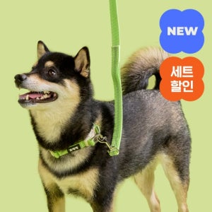 [강형욱X퍼피즈] 피크닉 목줄&리드줄 세트