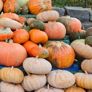 펌킨파이잼 - 땡스기빙 추수감사절 디저트 호박파이를 잼으로-