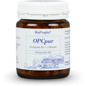 바이오프로필 OPCpur 120mg 60캡슐