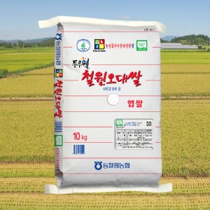 [동철원농협] 철원오대쌀 백미 햅쌀 당일도정 10kg, 1개