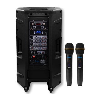 DY-1260 300W 12인치우퍼스피커 혼드라이브 USB 블루투스 에코 리버브