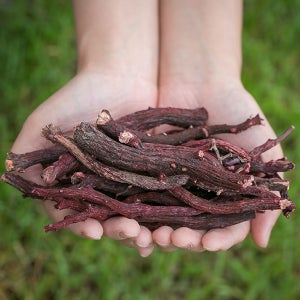 국산 자초 지치 100% 효능 약재 약초 200g