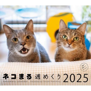 고양이달력 2025년 달력 네코마루 주간 플리핑 탁상용
