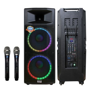 DY-2000W PLUS 버스킹 행사용 포터블앰프스피커 기타 반주기사용 에코 리버브