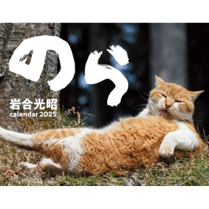 고양이달력 2025년 노라 벽걸이 달력