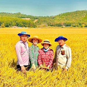 2025년 햅쌀 무훈증 현미 찰현미 현미쌀 찹쌀 현미밥 당뇨 저당 잡곡밥 잡곡