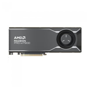AMD 라데온 PRO W7900 D6 48GB / MPS