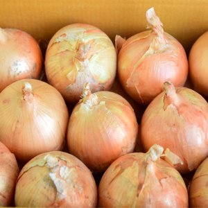 Naturebasket의 국산 햇양파5kg 특,대,중,소,장아찌 파격할인