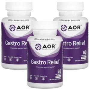 AOR Gastro Relief 60캡슐 3개 가스트로릴리프 고약사 매스틱검 알긴산