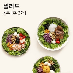 밀투고 샐러드 정기배송 식단 배송 유러피안샐러드 구독 배달 4주 [주 3개]