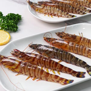 활 보리새우 5마리 특대 왕특대 오도리 회 구이 찜