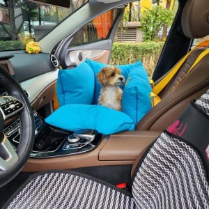 [스윗테일] 핸드메이드강아지카시트 아쿠아블루 L (라지)