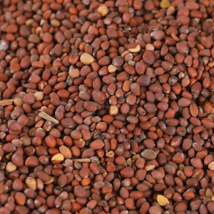 수입산 나복자 대용량 내복자 효능 약초 약재 600g