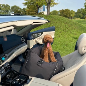 [스윗테일] 핸드메이드강아지카시트 딥그레이 L (라지)