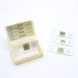 변성암박편 프레파라트 4종 천매암 사문암 편마암 녹색편암