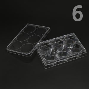 홈판 6홀 교육 실험 과학기자재 분석 연구 실험용 도구 교구