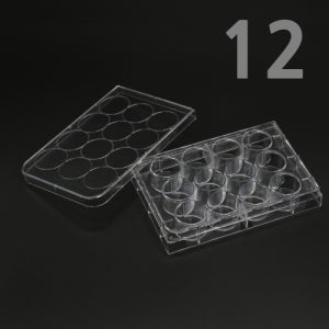 홈판 12홀 기구 과학 실험기자재 교육 연구 도구 교구 분석