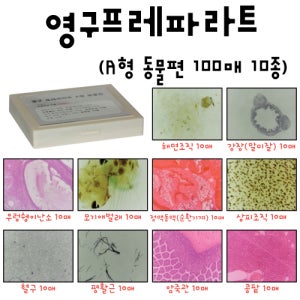 영구프레파라트 동물편 100매 10종 기구 실험기자재 과학 분석