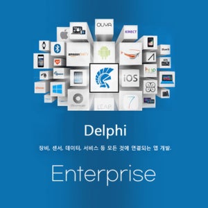 Delphi Enterprise Named user 신규 라이선스 엠바카데로 델파이 1년 업데이트 포함