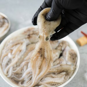 국내산 제철 활 쭈꾸미 1kg 서해안 생물 주꾸미 샤브샤브 볶음 숙회