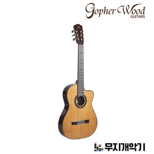 고퍼우드 탑솔리드 픽업 클래식기타 C600TRCE
