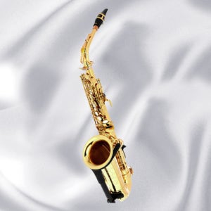 야마하 알토색소폰 입문용 연습용 yas875exgp YAS 875 EX GP 동호회 취미