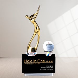 홀인원패 싱글패 이글패 골프트로피 HT306-10금