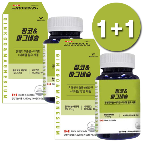 웨이팜 징코<b>마그네슘</b> 1320mg x 60정 혈액순환 인지력 기억력개선 두뇌영양제
