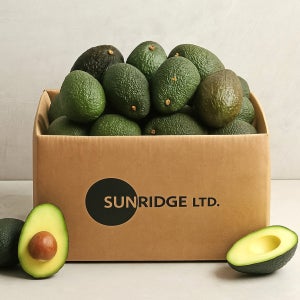 직수입 프리미엄 아보카도 최상급 중소과 중대과 특대과 6과 10과