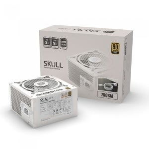 NEWZEN SKULL 750SM 모듈러 ATX3.1 80PLUS골드 화이트 / MPS