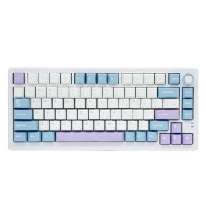 QSENN Q75 PBT 풀윤활 가스켓 유무선 기계식 키보드 블루퍼플, 퍼플축