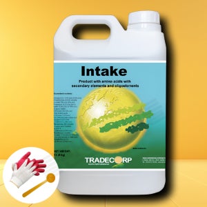 누보 인테이크 5L 잔디 뿌리발근 생육향상 고온기 이상기후 극복 아미노산