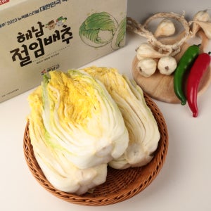 해남 아삭한 프리미엄 고당도 절임배추 스테비아배추 김장용 20kg