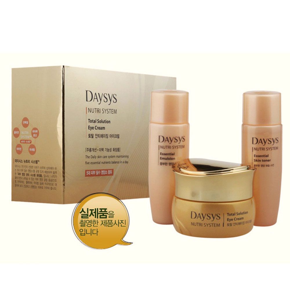 데이시스뉴트리시스템토탈솔루션아이크림