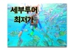 세부호핑투어